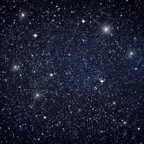 Meet your Posher, Crystal - Picture 1 of 1